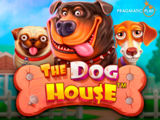 The dog house online casino40